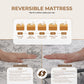 Active Sleep