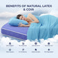 100% Natural Latex Coir Mattress